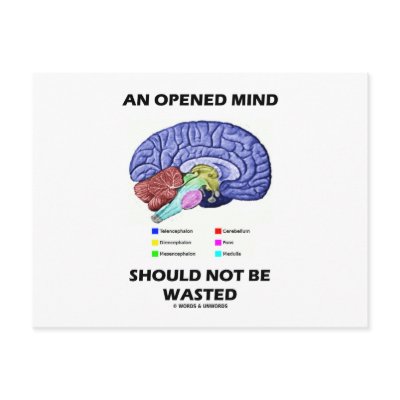An Opened Mind Should Not Be Wasted (Brain) by wordsunwords