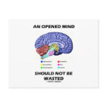 An Opened Mind Should Not Be Wasted (Brain) postcards