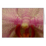 An Orchid for All Occasions!