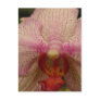 An Orchid for All Occasions!