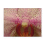 An Orchid for All Occasions!