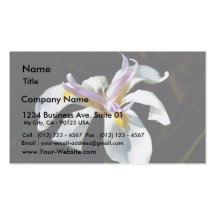An Orchid With White Petals Business Card