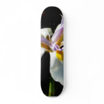 An Orchid With White Petals Skateboards
