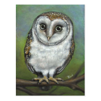 An owl friend by Tanya Bond postcards