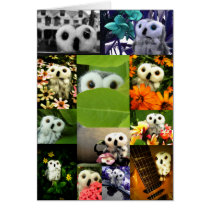 An Owl Named Ophelia Greeting Cards