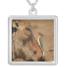 An Oxpecker on a warthogs snout, Isimangaliso, Custom Necklace