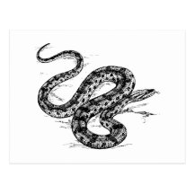 Anaconda Post Cards