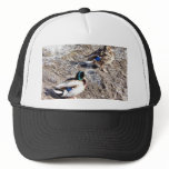 Anas Platyrhynchos Mesh Hat