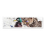 Anas Platyrhynchos Male And Female Mallards On Wat Bumper Sticker