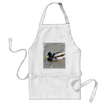 Anas Platyrhynchos Mallard Swimming In Cold Water Apron