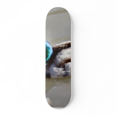 Anas Platyrhynchos Mallard Swimming In Cold Water Skateboard by lifesphere