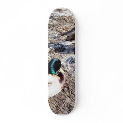 Anas Platyrhynchos Skate Deck by lifesphere
