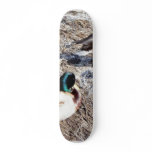 Anas Platyrhynchos skateboards