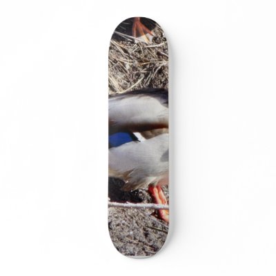 Anas Platyrhynchos Sunbathing Mallard Custom Skate Board by lifesphere