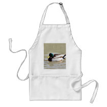 Anas Platyrhynchos Swimming Mallard Aprons