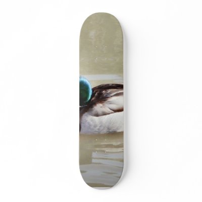 Anas Platyrhynchos Swimming Mallard Skate Decks by lifesphere