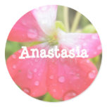 Anastasia girls name amaryllis stickers