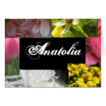 Anatolia Cards