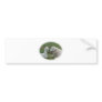 Anatolian shepherd and alpaca baby bumper stickers