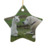 Anatolian Shepherd and Alpaca Cria Ornament