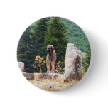Anatolian Shepherd Dog -  Ephesus, Turkey Pin