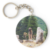 Anatolian Shepherd Dog -  Ephesus, Turkey Keychain