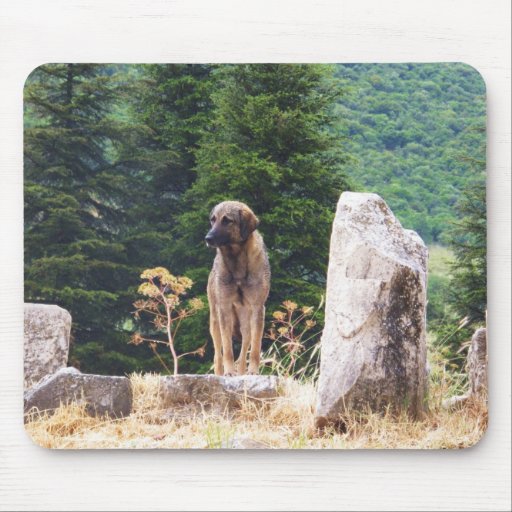 Anatolian Shepherd Dog -  Ephesus, Turkey Mousepads