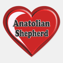 Anatolian Shepherd Dog Heart for Dog Lovers Sticker