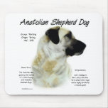 Anatolian Shepherd Dog History Design