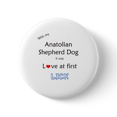 Anatolian Shepherd Dog Lick Design Pinback Button by GreyWolfCreation