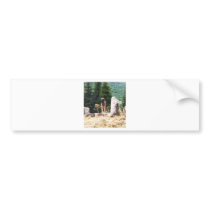 Anatolian Shepherd Dog  photograph taken at Ephesu