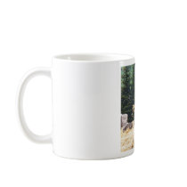 Anatolian Shepherd Dog  photograph taken at Ephesu Mugs