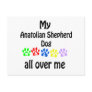 Anatolian Shepherd Dog Walks Design Postcards