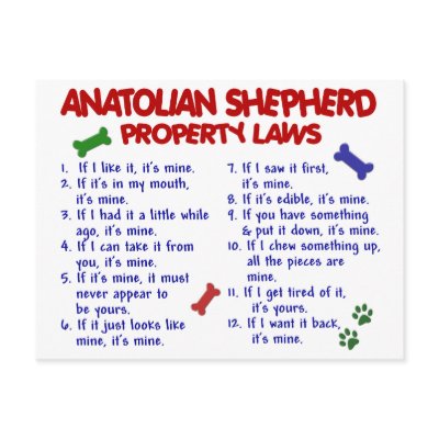 ANATOLIAN SHEPHERD Property Laws 2 by poochloverstuff