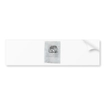 Anatomic Painting Of Skull Bumper Sticker