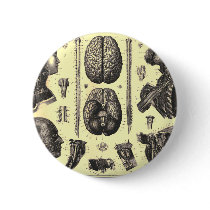 Anatomical Brain and More Pins