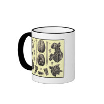 Anatomical Brain and More Coffee Mug