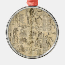 Anatomical Chart from Cyclopaedia 1728 Ornaments