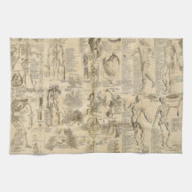 Anatomical Chart from Cyclopaedia 1728 Towel