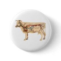 Anatomical Cute Cow Button