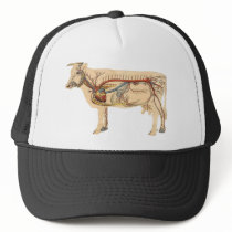 Anatomical Cute Cow Hat