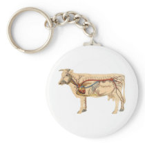 Anatomical Cute Cow Keychain
