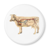 Anatomical Cute Cow Fridge Magnet