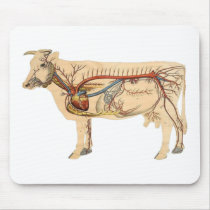 Anatomical Cute Cow Mousepad