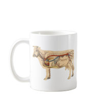 Anatomical Cute Cow Mug