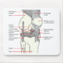 Anatomical Diagram of a Human Right Knee Joint Mousepads