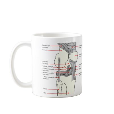 Anatomical Diagram of a Human Right Knee Joint Coffee Mugs by chartsanddiagrams