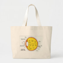 Anatomical Diagram of the Human Eye Ball Canvas Bag