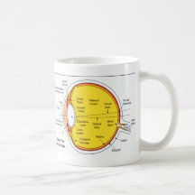 Anatomical Diagram of the Human Eye Ball Mugs