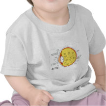 Anatomical Diagram of the Human Eye Ball T-shirts